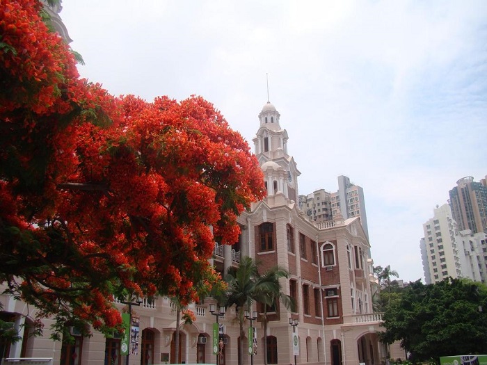 分享香港留學各專業申請秘籍，您知道嗎？