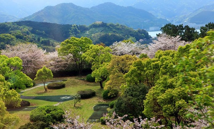 詳細(xì)介紹日本注冊(cè)公司需要什么資料？